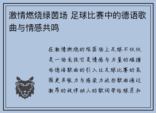 激情燃烧绿茵场 足球比赛中的德语歌曲与情感共鸣