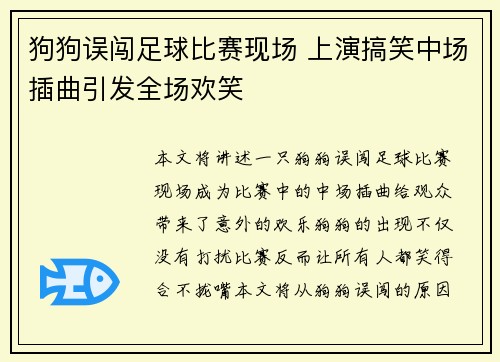 狗狗误闯足球比赛现场 上演搞笑中场插曲引发全场欢笑