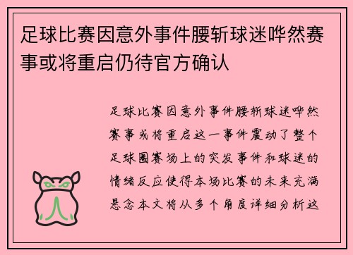 足球比赛因意外事件腰斩球迷哗然赛事或将重启仍待官方确认