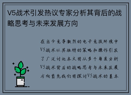 V5战术引发热议专家分析其背后的战略思考与未来发展方向